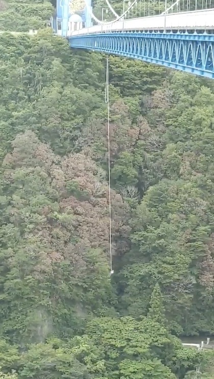 蛍の光バンジー