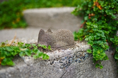 猫を無限製造機ネコカップ