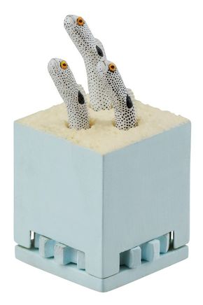 チンアナゴニョキニョキ&古生物