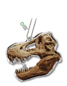 チンアナゴニョキニョキ&古生物