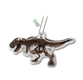 チンアナゴニョキニョキ&古生物