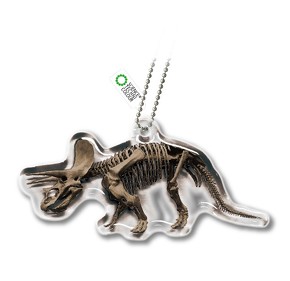 チンアナゴニョキニョキ&古生物