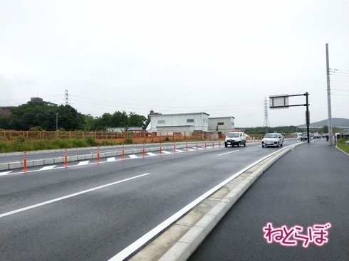 反対側からも「一番乗り」の車が