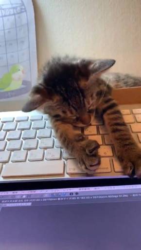 もなかちゃん キーボード