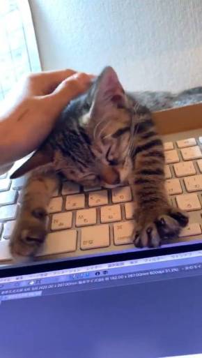 もなかちゃん キーボード