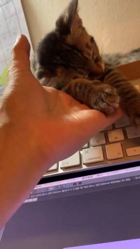 もなかちゃん キーボード