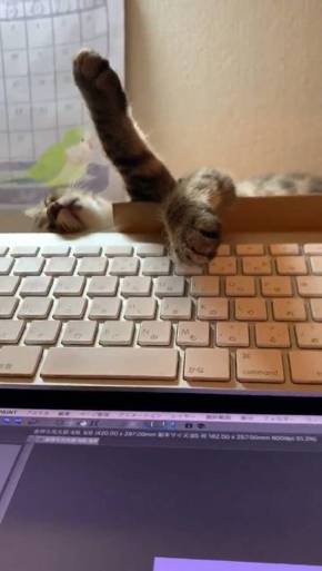 もなかちゃん キーボード