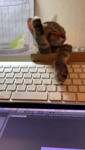 もなかちゃん キーボード