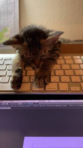 もなかちゃん キーボード