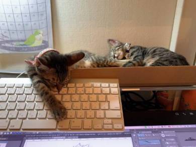 もなかちゃん キーボード