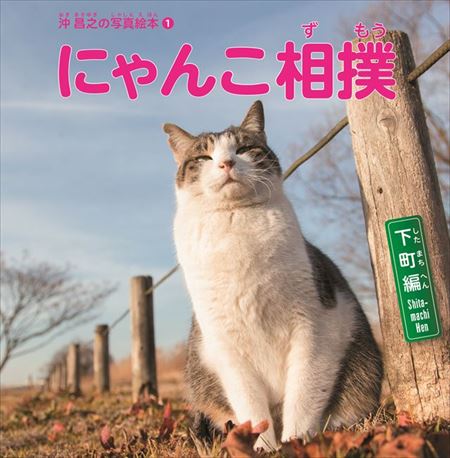 にゃんこ相撲　写真展