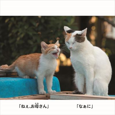 にゃんこ相撲　写真展
