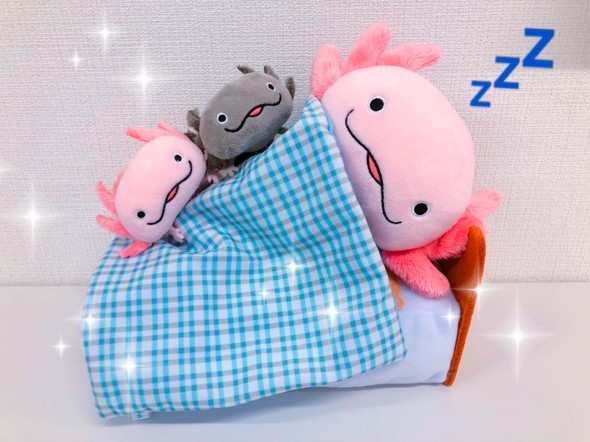 ぬい撮りサンライズ