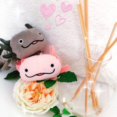 ぬい撮りサンライズ