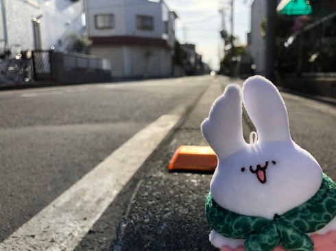 ぬい撮りサンライズ