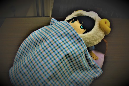 ぬい撮りサンライズ