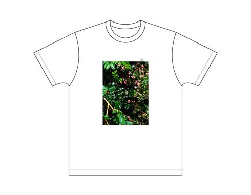 キンカン KINKAN SUMMER COLLECTION 2019 蚊 モデル ファッション Tシャツ おしゃれ