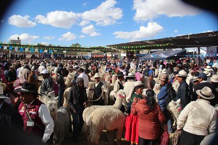 アルパカパレード