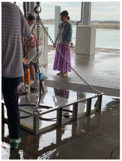 高橋真麻 アナウンサー 結婚 夫 ブログ