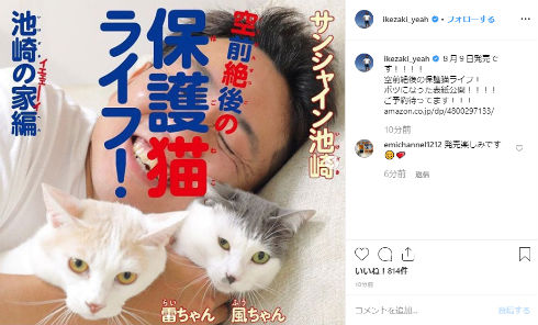 サンシャイン池崎 空前絶後の保護猫ライフ! 池崎の家編 猫 風神 雷神 猫の森