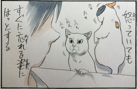  心が疲れている時は3枚目