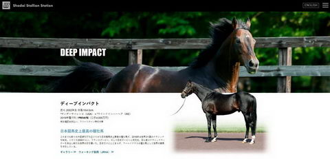 ディープインパクト 安楽死 急逝 死 市川海老蔵 川島明 追悼 芸能人 競馬ファン