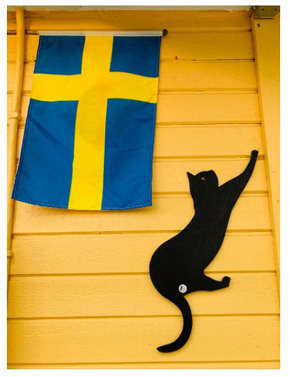 LiLiCo ウエディングドレス 純烈 小田井涼平