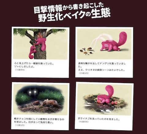 ベイクの売れない理由100円買取キャンペーン