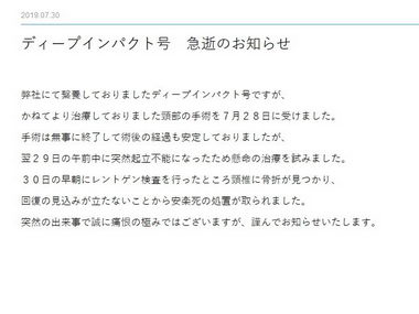 ディープインパクト