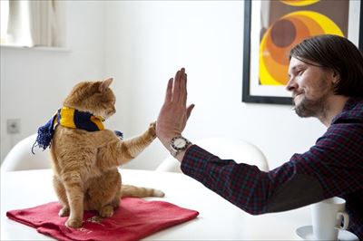 ボブが教えてくれたこと