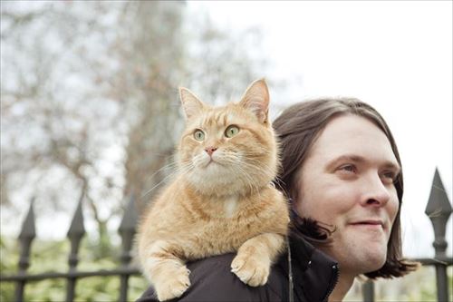 ボブが教えてくれたこと