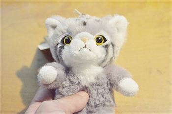 那須　マヌルネコ