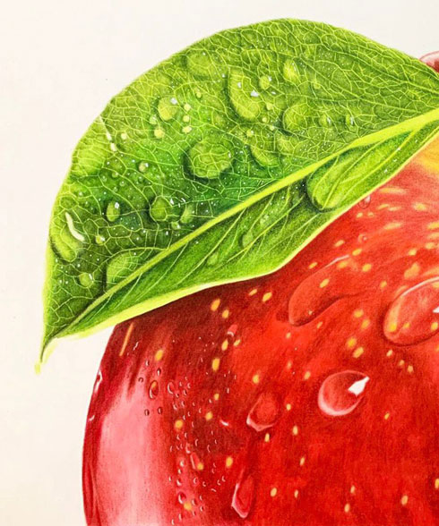 いちご 色鉛筆 画 りんご 絵 果物 リアル