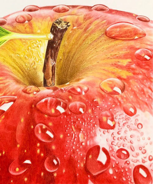 いちご 色鉛筆 画 りんご 絵 果物 リアル