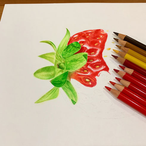 いちご 色鉛筆 画 りんご 絵 果物 リアル