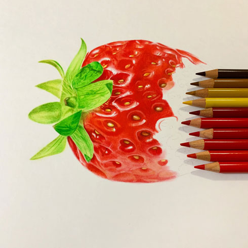 いちご 色鉛筆 画 りんご 絵 果物 リアル