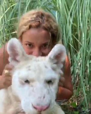 人懐っこい虎さん