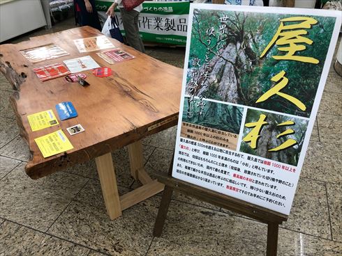 刑務所 受刑者 SNS