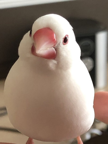 みるくさんアップ