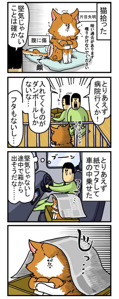 猫 家具 取っ手 かむ あくび フェイント まめきちまめこ ニートの日常 タビ 漫画