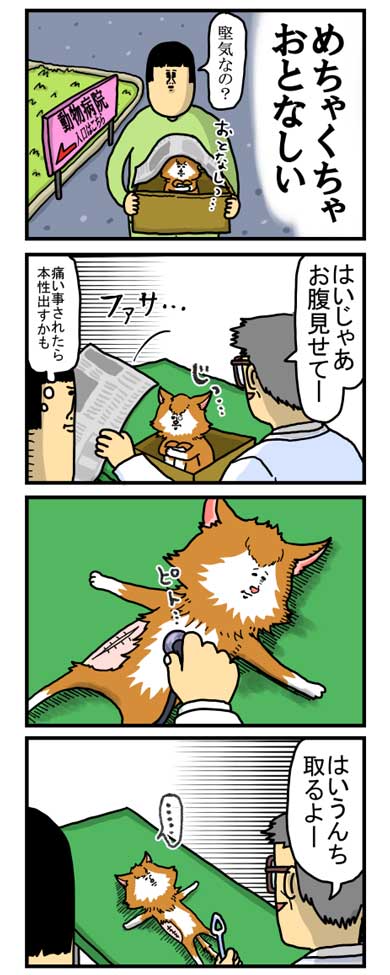 猫 家具 取っ手 かむ あくび フェイント まめきちまめこ ニートの日常 タビ 漫画
