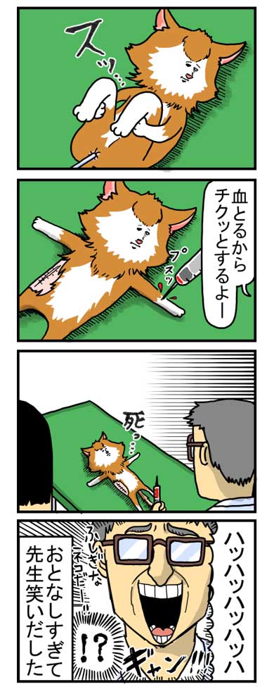 猫 家具 取っ手 かむ あくび フェイント まめきちまめこ ニートの日常 タビ 漫画