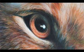 ライオン・キング 四宮義俊 超描写 言の葉の庭 新海誠 シンバ