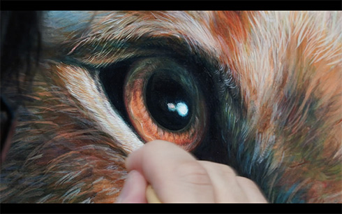 ライオン・キング 四宮義俊 超描写 言の葉の庭 新海誠 シンバ