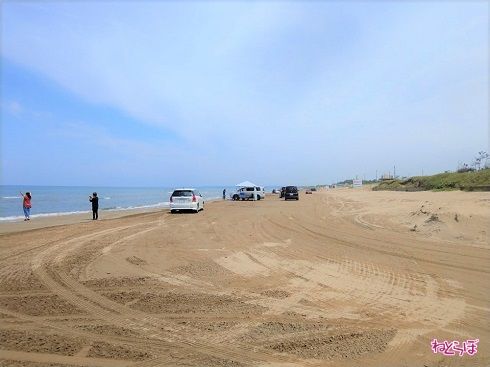 なんと、これが道路なんです