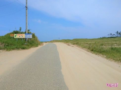 角を曲がってしばらくすると、道路に砂が