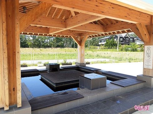 だいこん足の湯