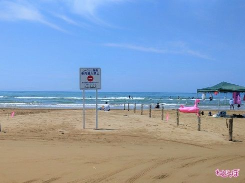 ロープから海側は車両進入禁止です