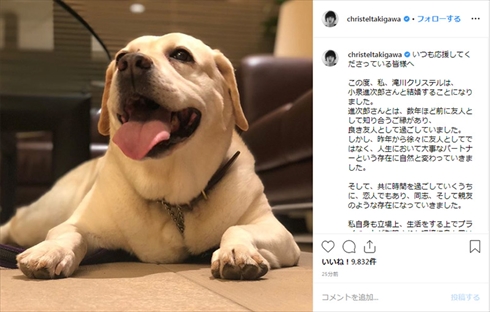 小泉進次郎 滝川クリステル 結婚 妊娠 アリス