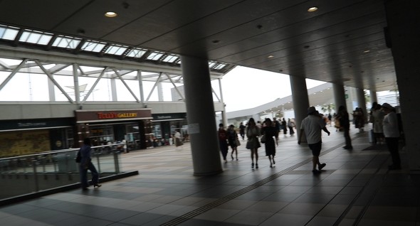 ビッグサイト夏展示棟